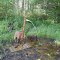 Artesian Well