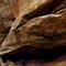 Cave near Mesmore Cliff in the Hoosier National Forest