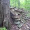 Old rock pile along Birkhead Trail