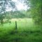 clearing along Birkhead Trail