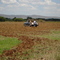 Sembrando Sorgo en Adrian