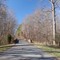 US-64 Cement Bridge (Circa 1921)