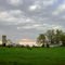 Dairy Farm
