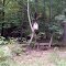 Birdhouse just hanging in the woods----st