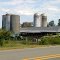 Working Cow Farm---st