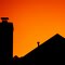 Orange Sunset