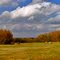 Our Farm
