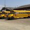 Binbrook School Buses