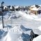 Suburban snow, March 9, 2008