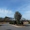 a young, round live oak tree highlights an otherwise drab median island at the entrance to the ill-fated Braeburn develpoment, beneath an unbelievably crisp Carolina blue sky on one of the shorter days of the year, 12-16-11