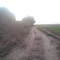 Shoosh Nature 4