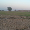 Shoosh Nature 3