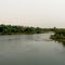 Karkhe River, Khuzestan, Iran صبح در کرخه، خوزستان، ایران
