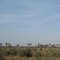 Shadegan, Nov. 2009