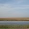 Shadegan Lagoon, Nov.2009