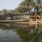 Talab e Shadegan