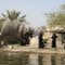 Talab e Shadegan