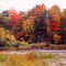 Looking across the river at Meadowlilly woods.