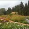 Iran National Botanical Garden