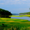 Grass on the Lake