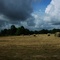 rural, USA june09