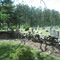 gold hill cemetery
