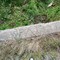 WPA Culvert Marked