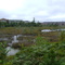 Belcher's Marsh II