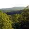 Views from Skyline Drive near Alto Pass