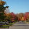 Fall In 2008