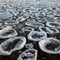 Pancake Ice