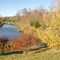   1 Small pond in Courtice