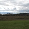 Camp-X View