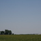 southern illinois farm in may