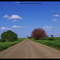 Somewhere in Illinois