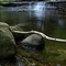 Pond with Waterfall