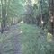 Kite School walking path