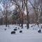 Oakwood Cemetery