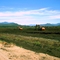 Preparing peat for cranberry marshes - near Fort Langley