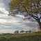 Autunno a Montignano