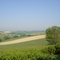 Campagna marchigiana