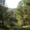 Demanio forestale di Gabbara, Mustigarufi, Cioccafa e Santalena