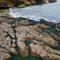 rock drawing