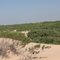 dune di randello