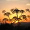 sunset on ferula