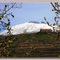  L'Etna visto da Sud-Ovest...l'unico Amore rimastomi! (dedicata a _Sile_)