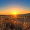 campo al tramonto HDR