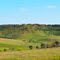 Campagna di Tarsia