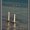Lago di Albano