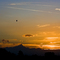 Sunset With Balloons